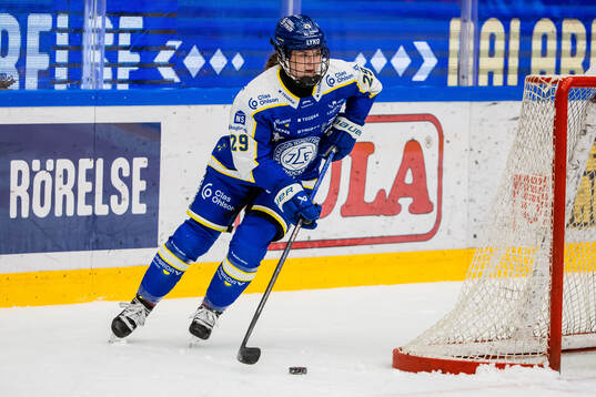 Leksands Courtney Vorster