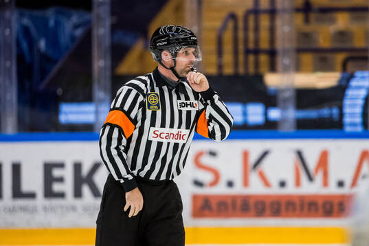 Domare Hampus Springare