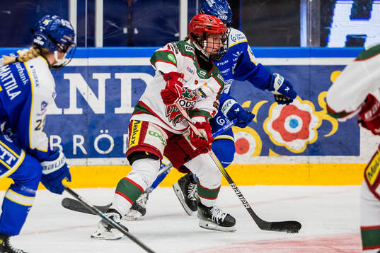 Modos Linnéa Andersson