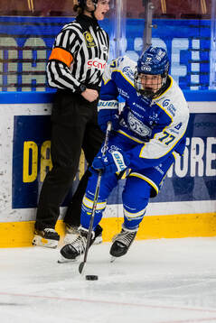 Leksands Tereza Radova