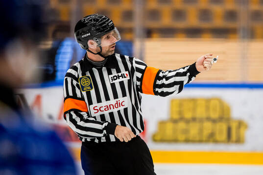 Domare Hampus Springare