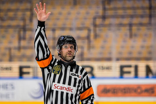 Domare Hampus Springare