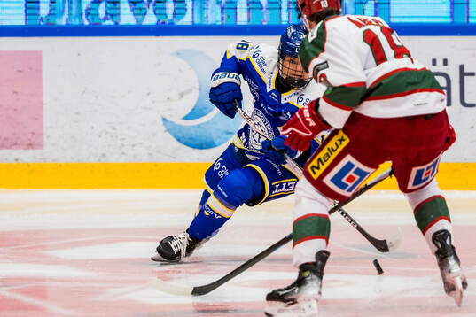 Leksands Saga Tynell-Nissas