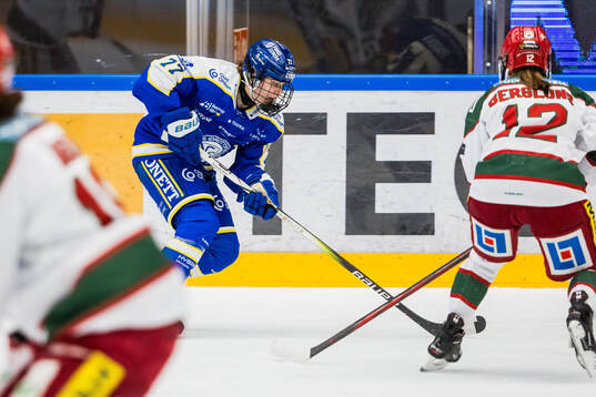 Leksands Tereza Radova