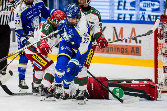 Leksands Tereza Radova