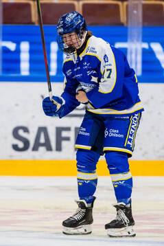 Leksands Tereza Radova