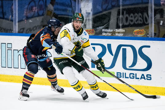 Djurgårdens Jonathan Tychonick och Björklövens Jacob