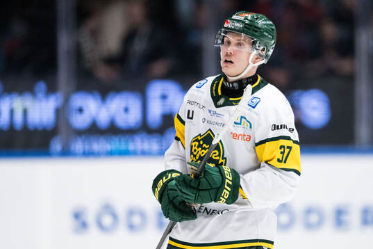 Björklövens Lenni Killinen deppar