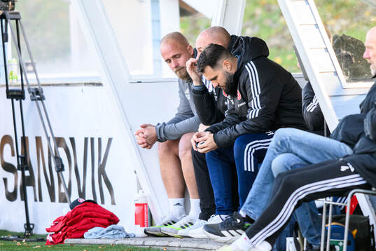 Sandvikens IFs huvudtränare Eldar Abdulic