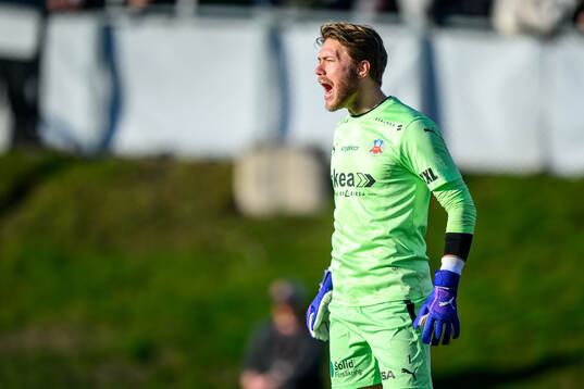 Helsingborgs målvakt Kalle Joelsson