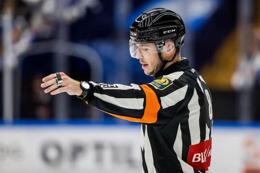 Domare Oscar Niklasson