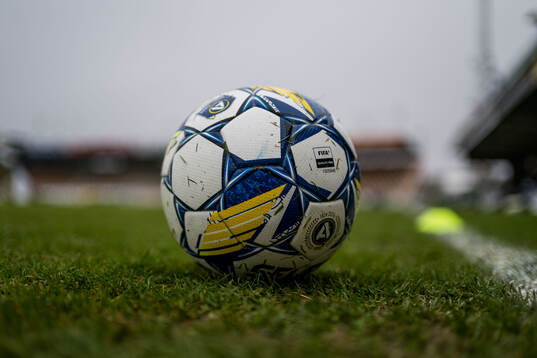 En fotboll på gräsmattan