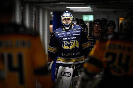 HV71s målvakt Frederik Dichow