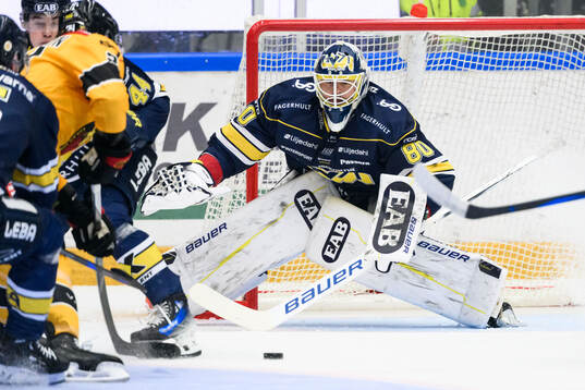 HV71s målvakt Frederik Dichow