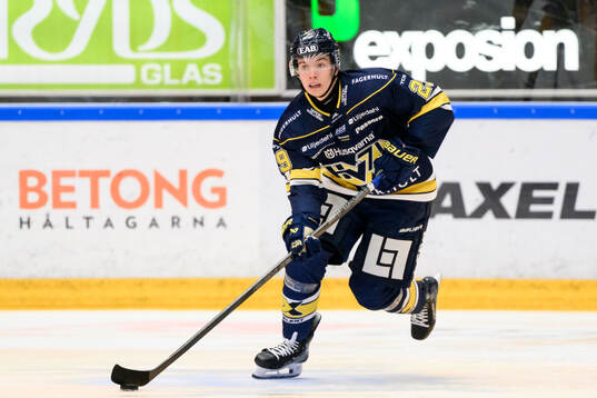 HV71s Wilhelm Hallquisth