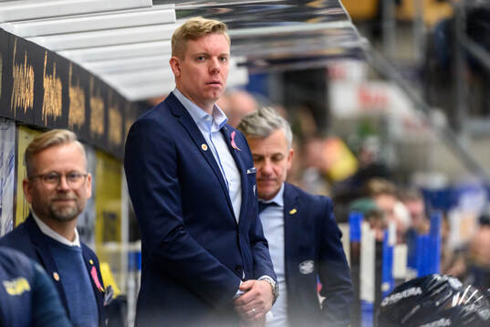 HV71s tränare Anton Blomqvist