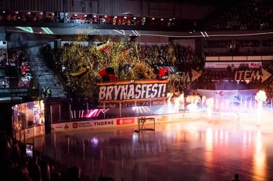 Brynäs tifo