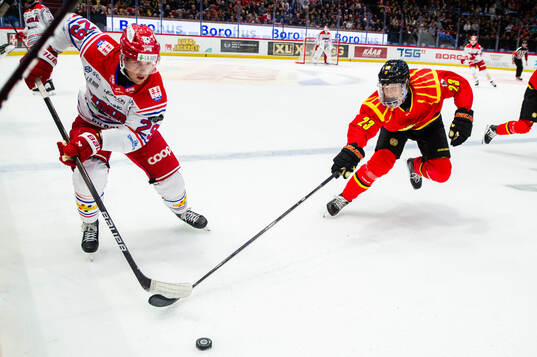Timrås Filip Hållander och Brynäs Oskar Lindblom