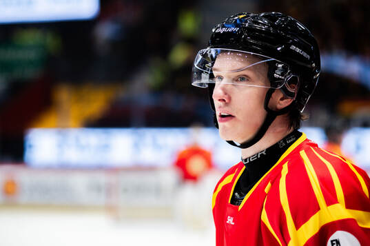 Brynäs Linus Lindblom