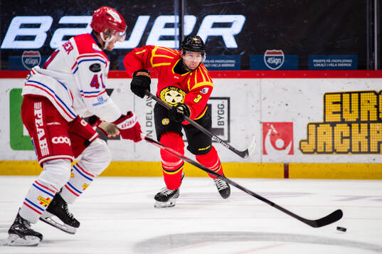 Brynäs Christian Djoos