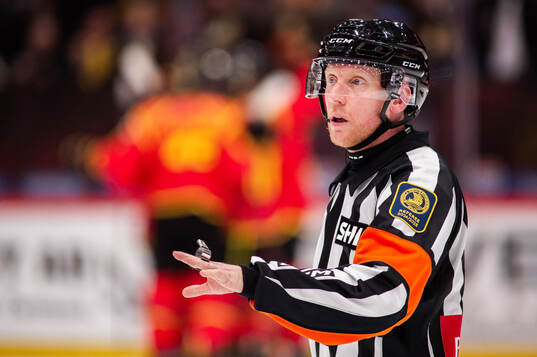 Domare Mikael Holm
