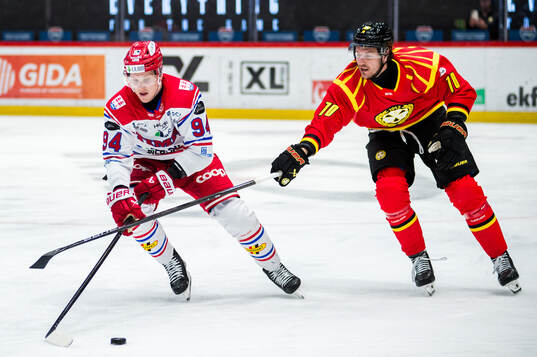 Timrås Sebastian Hartmann och Brynäs Miks Indrasis