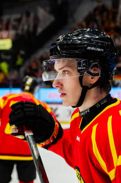 Brynäs Linus Lindblom