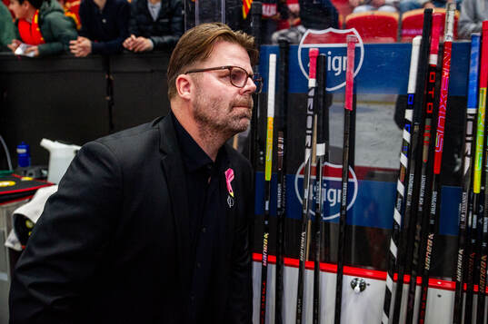 Brynäs assisterande tränare Ove Molin