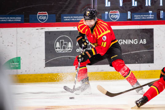 Brynäs Anton Rödin