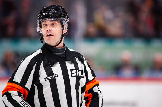 Domare Richard Magnusson
