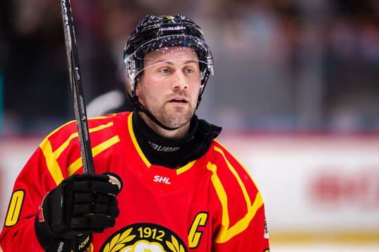 Brynäs Johan Larsson
