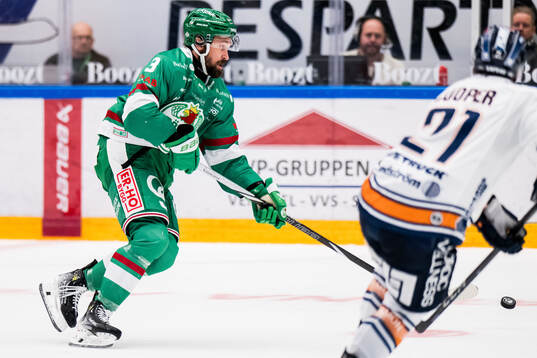Rögles Michael Kapla