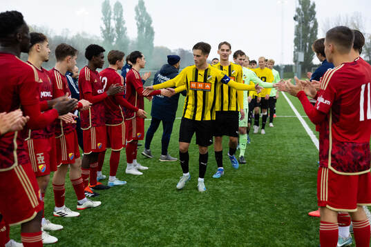 Djurgårdens spelare gratulerar Häckens spelare