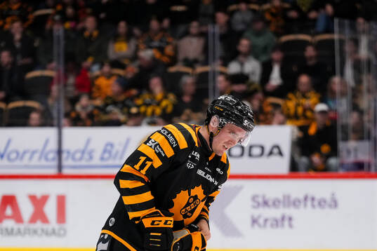Skellefteås Max Lindholm deppar