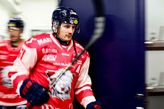 Linköpings Markus Ljungh