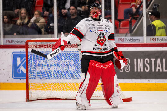 Nybros målvakt Tex Williamsson