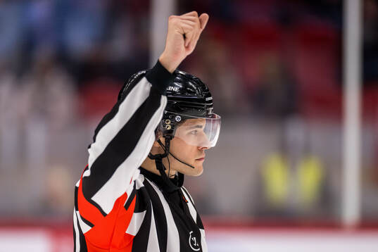 Domare Robin Jacobsson
