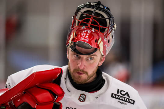 Nybros målvakt Tex Williamsson