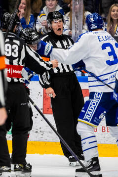 Domare Tobias Björk