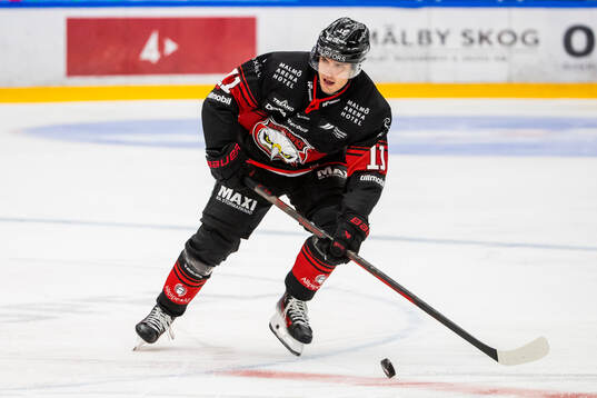 Malmö Redhawks Nikola Pasic