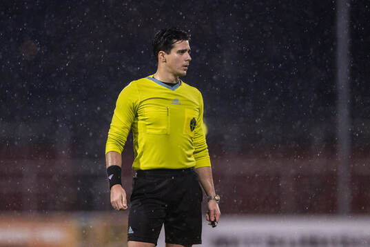 Domare David Manea