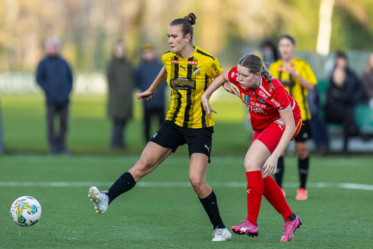 Häckens Bianca Hultbäck Nattland