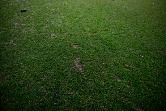 Gräsmattan på Eleda Stadion
