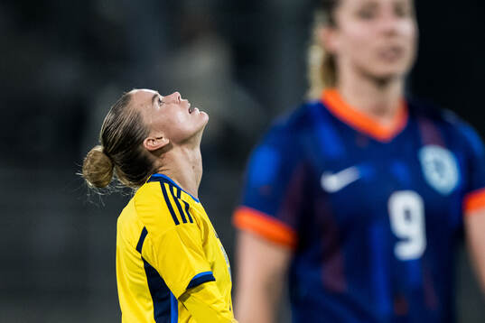 My Cato of Sweden looks dejected