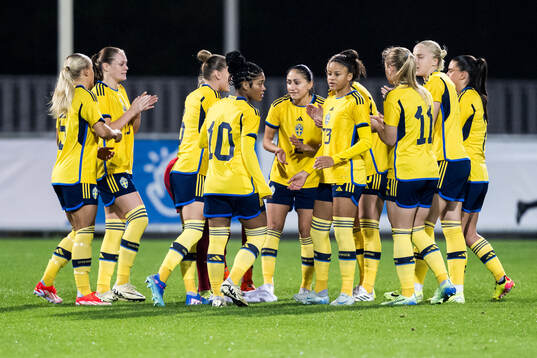 Player of Sweden