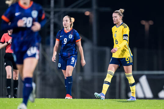 My Cato of Sweden looks dejected
