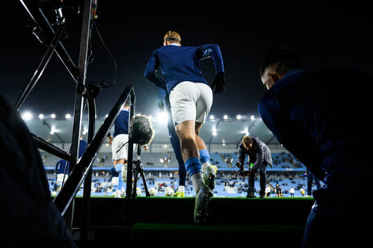 Malmö FFs Erik Botheim