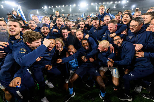 Malmö FFs spelare jublar