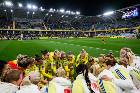 Players of Sweden