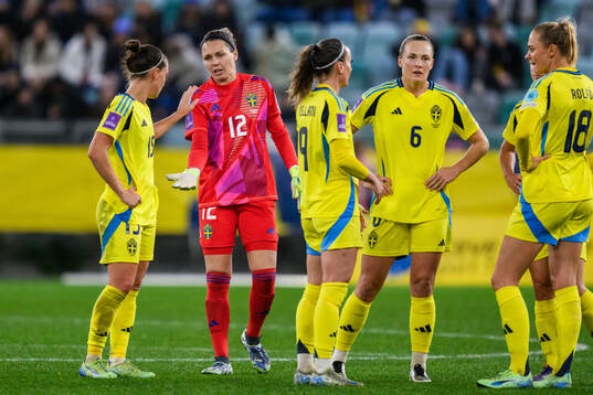goalkeeper Jennifer Falk of Sweden